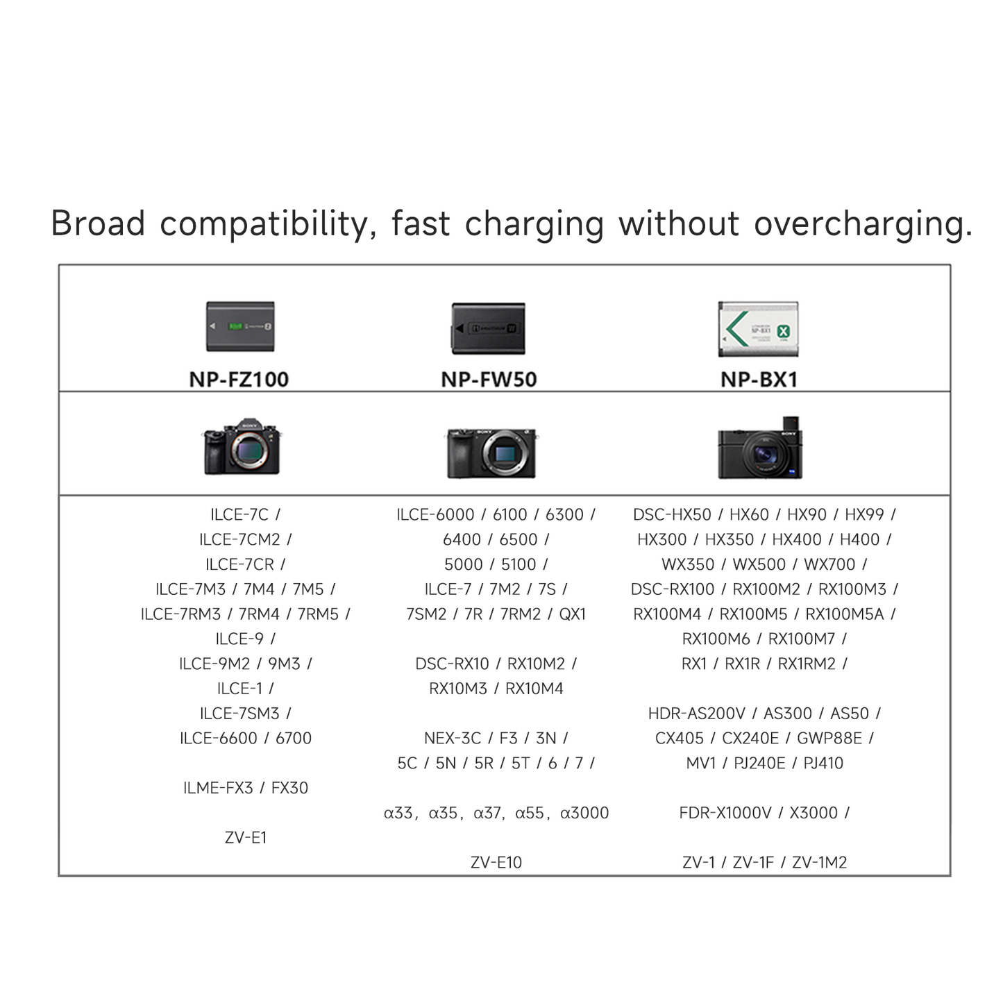 NP2GO 4 Channels Fast Camera Battery Charger,Smart Charger/10000mAh Power Bank for Sony Batteries ISDT